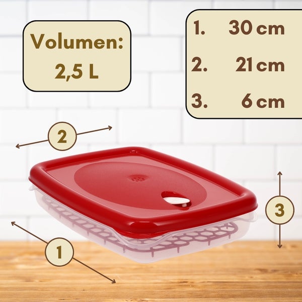 Vorratsdose mit den Maßen 30 cm Länge, 21 cm Breite und 6 cm Höhe sowie einem Volumen von 2,5 Litern