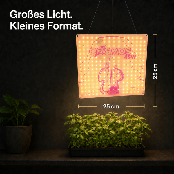 Quadratische LED-Pflanzenlampe Cosmos 45 Watt, Maße 25 mal 25 Zentimeter, über einer Schale mit Kräutern.