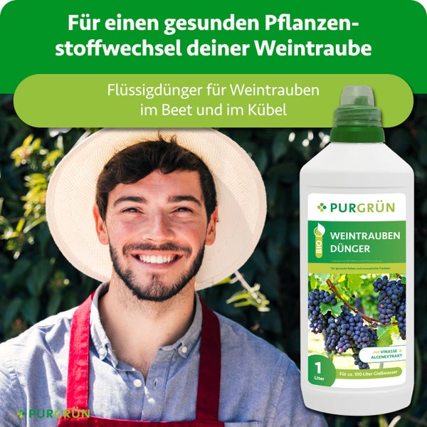 Purgrün Bio Weintrauben Dünger 1 Liter Flasche für Beet und Kübel mit einem Gärtner im Hintergrund.