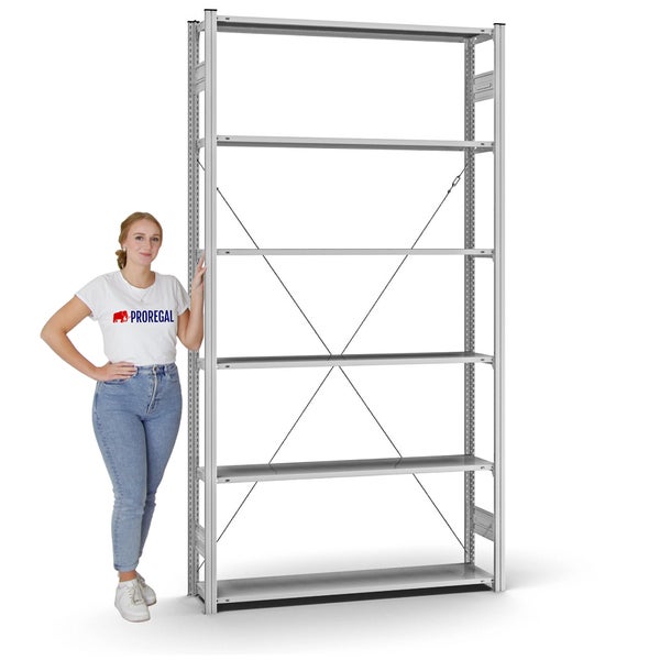 PROREGAL Profi Lagerregal Stecksystem T-Profil Grundregal HxBxT 250 x 130 x 30 cm Fachlast 90 kg Verzinkt