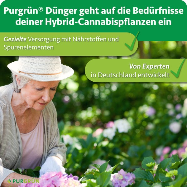 Eine Frau mit Hut pflegt Pflanzen im Garten, beworben mit Informationen zu Purgrün Dünger für Hybrid Cannabispflanzen.