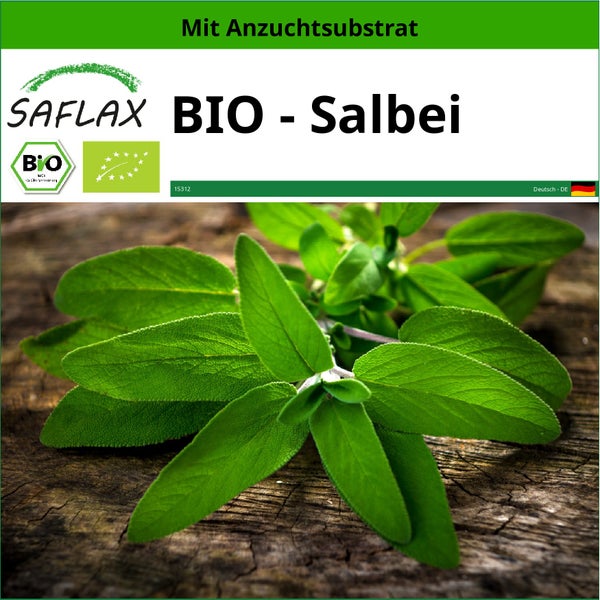 SAFLAX  - BIO - Salbei - Salvia officinalis - 60 Samen - Mit keimfreiem Anzuchtsubstrat