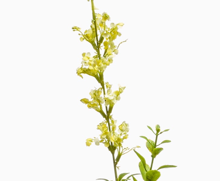 Künstlicher Pflanzenzweig mit grünen Blättern und kleinen gelblichen Blüten für Dekorationen.