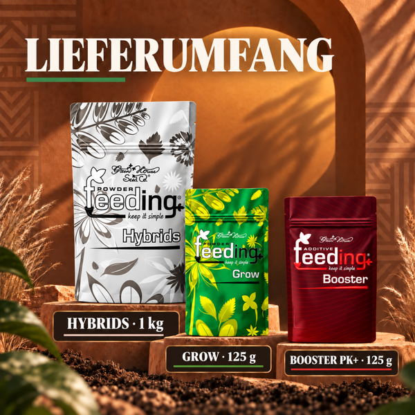 Drei Packungen Green House Powder Feeding Dünger Hybrids Grow und Booster auf steinernen Podesten vor einer architektonischen Kulisse.