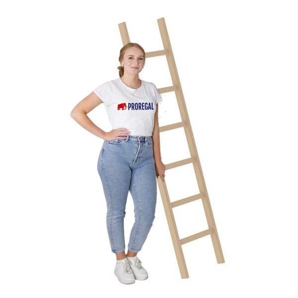 PROREGAL Sprossen-Anlegeleiter Holz Ohne Traverse 6 Sprossen