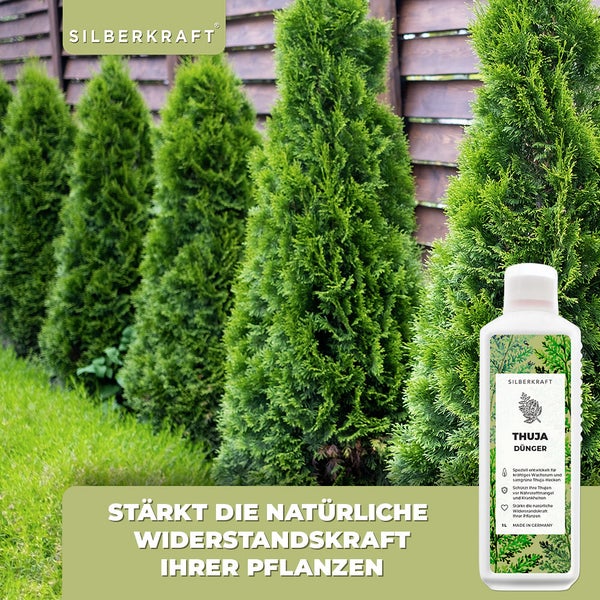 SILBERKRAFT Thuja Dünger – Für dichte Hecken – NPK Flüssigdünger – 1 Liter