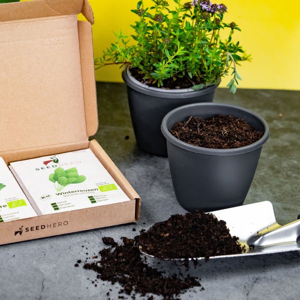 Gärtner-Set mit Seedhero Logo, Bio-Samen für Winterreuzen Spinat, grauen Pflanztöpfen, Blumenerde und einer Handschaufel aus Metall.