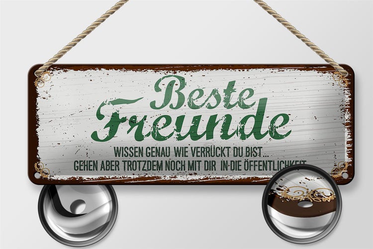 Blechschild Spruch Beste Freunde verrückt wissen genau 27x10cm