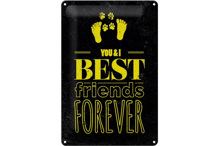 Blechschild Spruch Freunde You I best friends forever 20x30cm