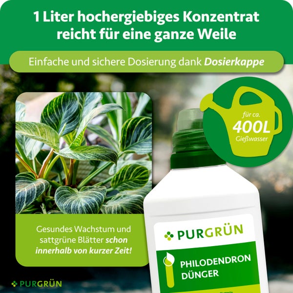 Infografik zur Anwendung von Purgrün Flüssigdünger: 5 Milliliter Konzentrat abmessen, mit 2 Liter Wasser verdünnen und saisonal düngen.