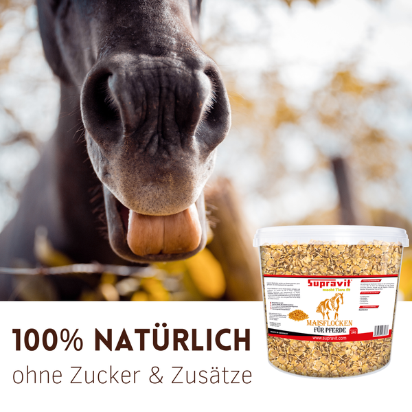 Pferdekopf mit Maisflocken für Pferde im Eimer von Supravit