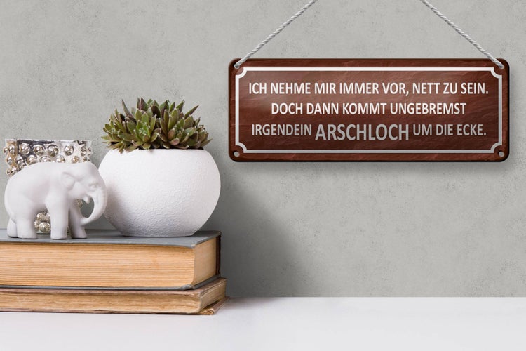 Blechschild Spruch 27x10cm ich immer nett doch Arschloch Dekoration