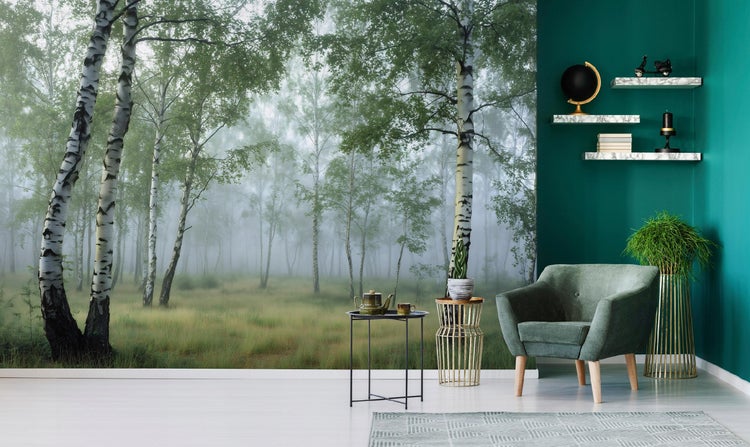 Fototapete 3D Effekt Wald Natur Birken Wohnzimmer Vlies Tapete 300x210 cm