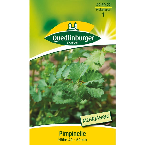 Pimpinelle Samen von Quedlinburger SAATGUT