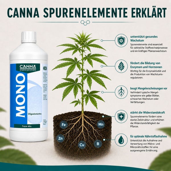 Infografik über Canna Mono Spurenelemente Dünger mit Pflanze und Erläuterung der Wirkungsweise für gesundes Pflanzenwachstum.