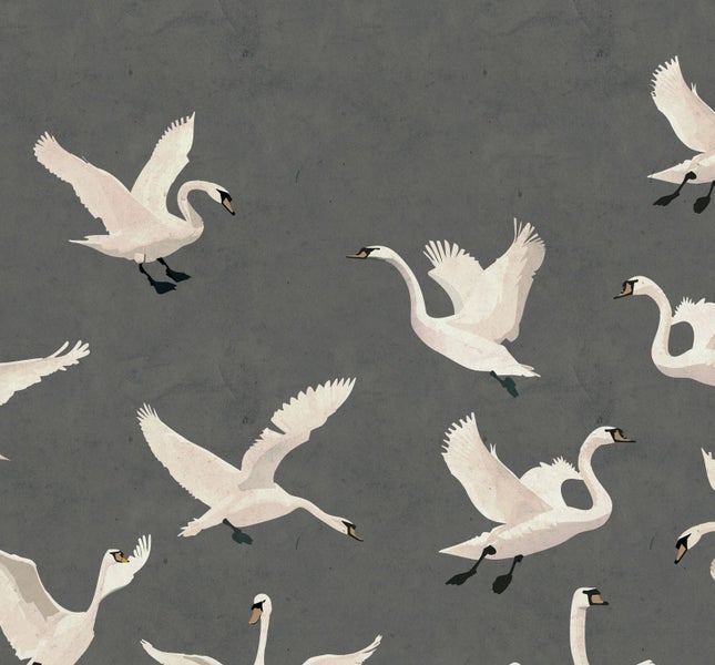 Muster mit fliegenden Schwänen