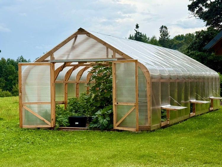 Großes Gewächshaus mit Holzrahmen und Kunststoffplatten steht im Garten mit Pflanzen im Innenbereich und geöffneten Türen.