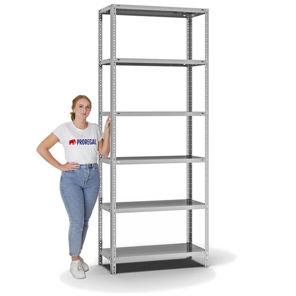 PROREGAL Fachbodenregal Schraubsystem Heavy-Duty Grundregal HxBxT 250 x 100 x 40 cm 6 Ebenen Fachlast 350 kg Beidseitig Nutzbar Verzinkt