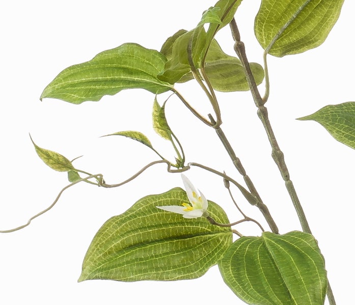 Nahaufnahme von schmalen, spitzen Blättern einer grünen Kunstpflanze.