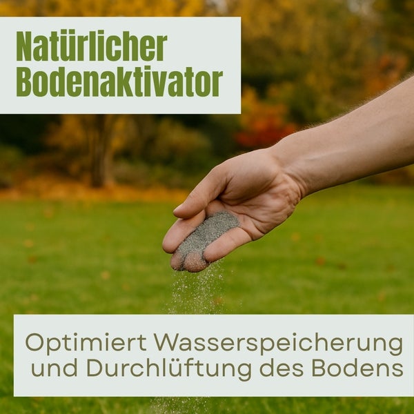 Bodenaktivator wird auf Rasen gestreut zur Verbesserung der Wasserspeicherung und der Bodenbelüftung.