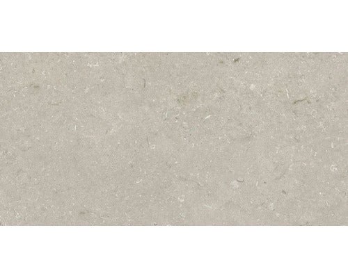 Wand- und Bodenfliese Shellstone taupe 60x120cm