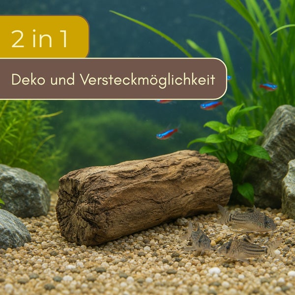 Aquarium-Dekoration Baumstamm als Versteckmöglichkeit in einem bepflanzten Aquarium mit Fischen und Steinen.