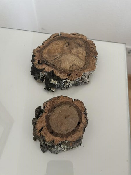 Zwei Baumscheiben aus Naturholz mit Rinde für Bastelarbeiten und Dekoration.