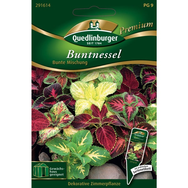 Buntnessel Bunte Mischung Samen von Quedlinburger SAATGUT