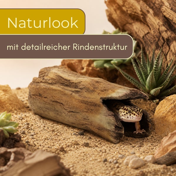 Terrarium-Dekoration Baumstamm in Naturlook mit Rindenstruktur, Gecko blickt aus einer Baumhöhle, auf Sandboden mit Pflanzen.