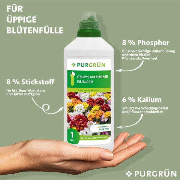 Purgrün Chrysantheme-Dünger 1 Liter