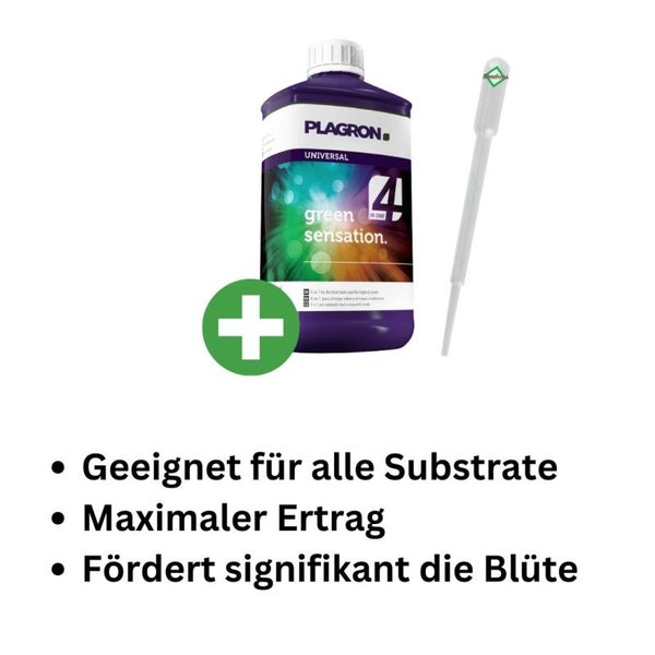 Plagron Green Sensation 250 ml – Maximale Blütenpracht & Geschmack, ideal für die letzten 4-6 Wochen der Blüte, vielseitig einsetzbar mit Pipette für präzise Dosierung<br /><br /><br /><br /><br />
