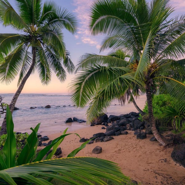 Strandlandschaft mit Palmen und Felsen