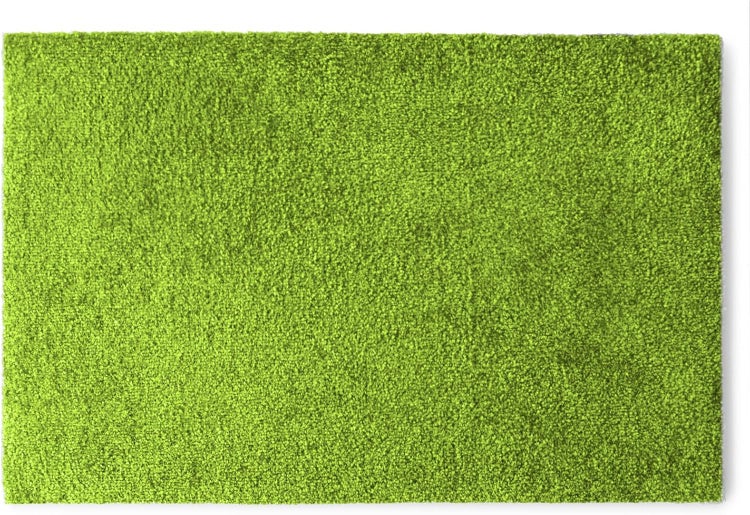 FLOORDIREKT Fußmatte Domenico - stilvolle & praktische Schmutzfangmatte - Limone - 50 x 80 cm