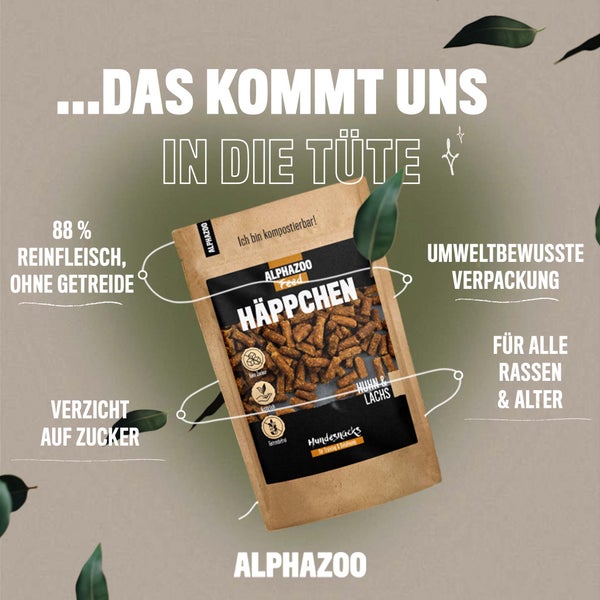 ALPHAZOO Häppchen Huhn und Lachs 200g für Hunde I Kleine Hundeleckerli I Getreidefreie Hundesnacks