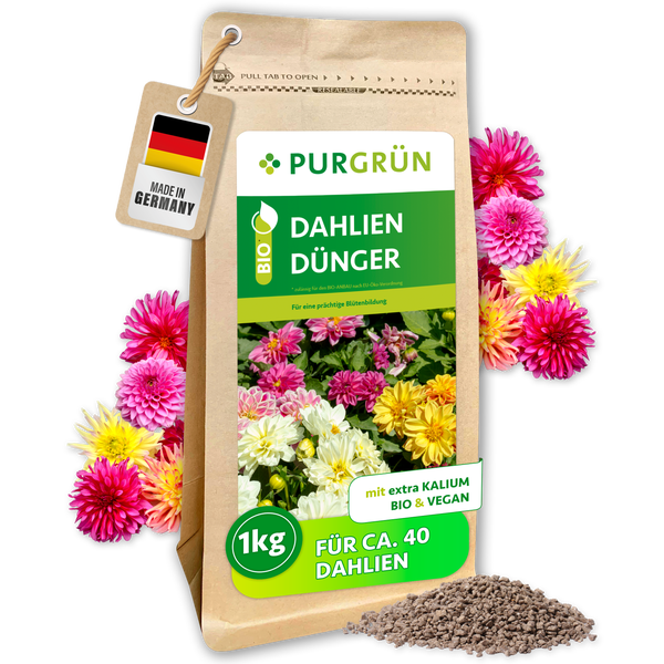 PURGRÜN Bio Dahliendünger 1 Kilogramm mit extra Kalium für eine prächtige Blütenbildung