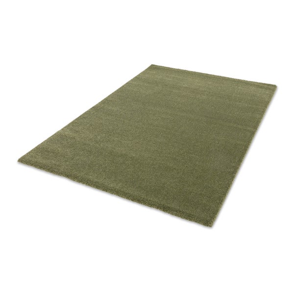 Grüner Hochflor-Teppich in rechteckiger Form mit weicher Oberfläche.