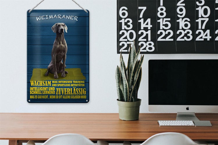 Blechschild Spruch 20x30cm Weimaraner Hund wachsam schnell