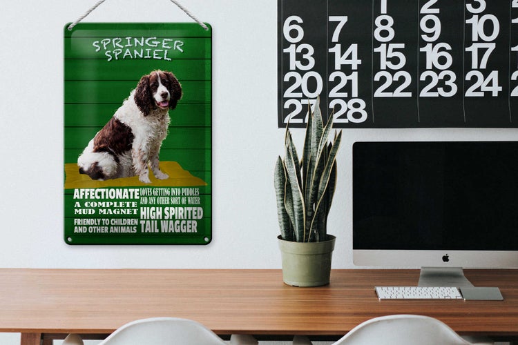 Blechschild Spruch 20x30cm Springer Spaniel Hund friendly