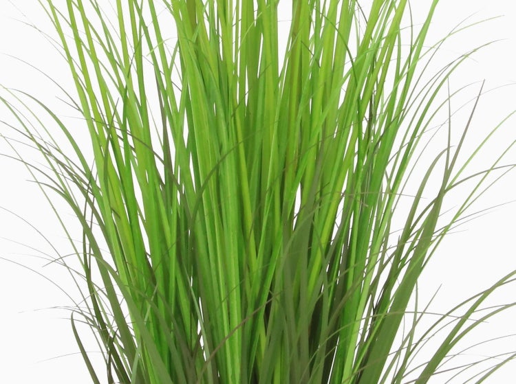 Künstliche Graspflanze in einem schwarzen Kunststofftopf.