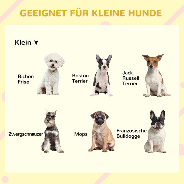 Illustration showing dog breeds suitable for small dogs including Bichon Frise, Boston Terrier, Jack Russell Terrier, Miniature Schnauzer, Pug, French Bulldog.