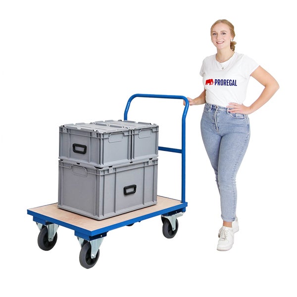 PROREGAL Profi Plattformwagen HxBxT 102 x 60 x 98 cm Traglast 450 kg Lichtblau