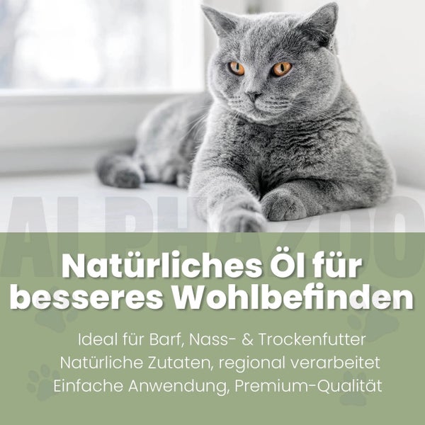 Graue Katze liegt auf Fensterbank
