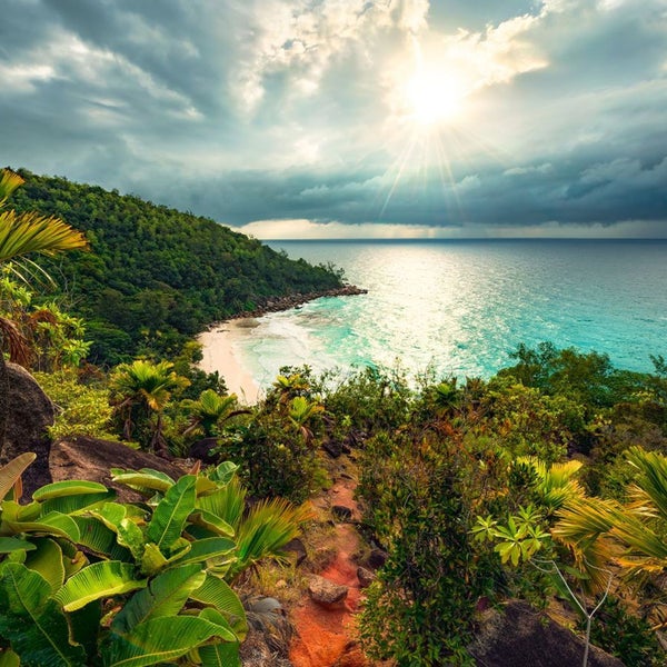 Landschaft mit Strand, Meer, Vegetation und Sonne