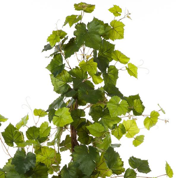 Künstliche Weinrebe mit grünen Blättern und feinen Ranken
