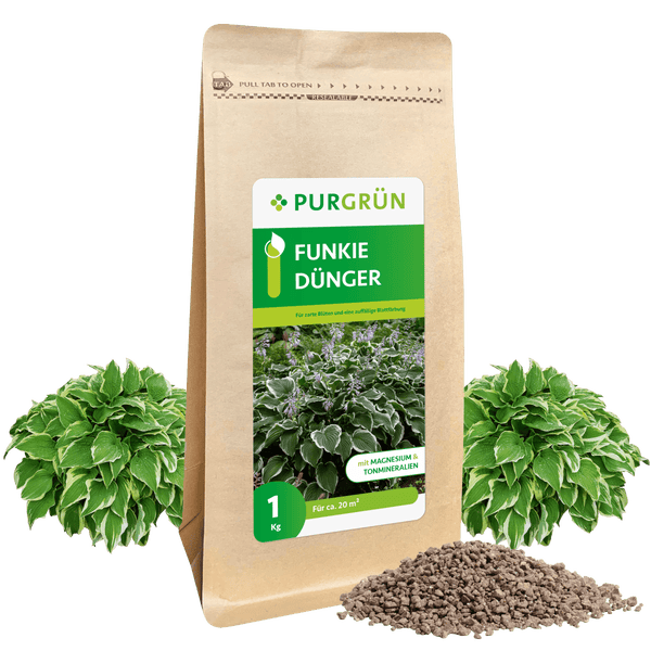 Purgrün Funkie-Dünger 1 kg