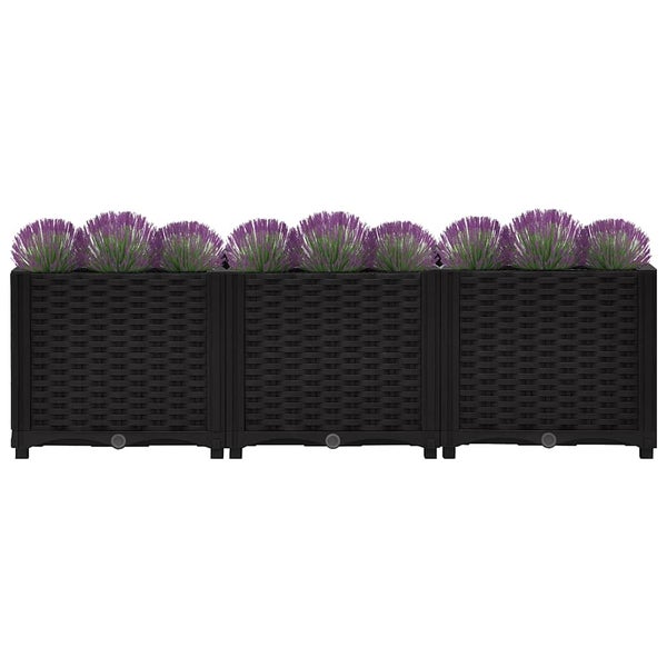 Set aus drei quadratischen Pflanzkübeln in Rattanoptik mit bepflanzten Lavendelbüscheln.