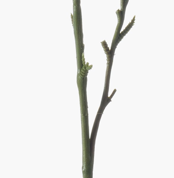 Nahaufnahme einer künstlichen Pflanze mit gemusterten Blättern und grünen Stielen.