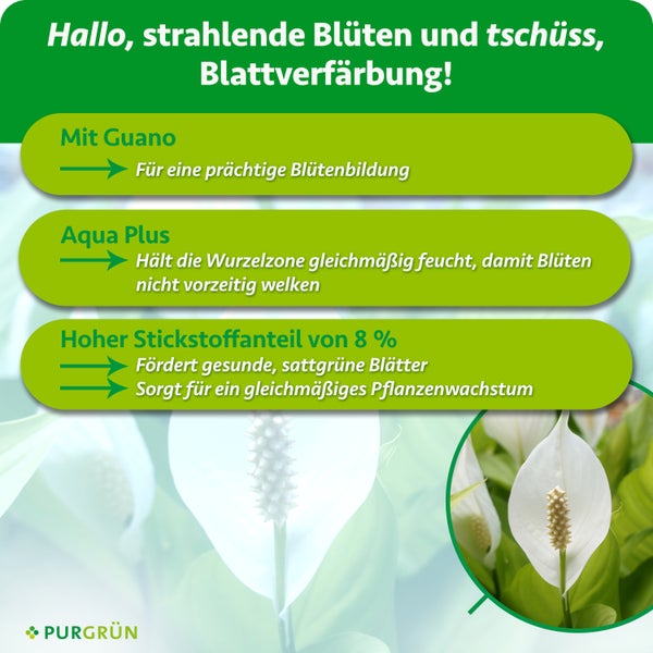 Infografik zum Purgrün Pflanzendünger mit Guano, Aqua Plus und acht Prozent Stickstoff für gesundes Pflanzenwachstum und prächtige Blütenbildung.