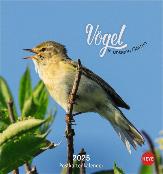 Vögel in unseren Gärten Postkartenkalender 2025 Ein kleiner Kalender zum Aufstellen und Aufhängen mit den 12 häufigsten Gartenvogelarten. Postkarten-Fotokalender zum Heraustrennen.