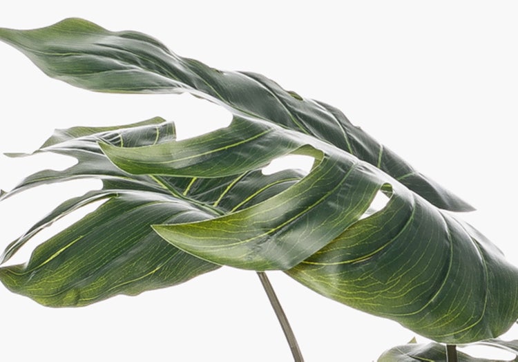 Künstlicher Orchideenzweig mit weißen Blüten und grünen Knospen.